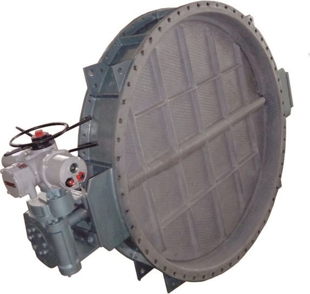 W020241121363312650864