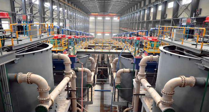 W020241120606693971477