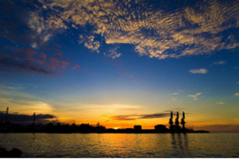 W020241121368837326402