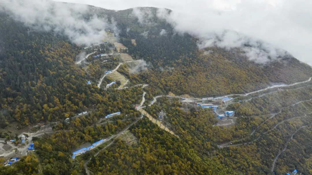 东升国际官网-钻营健全,你我一路成长