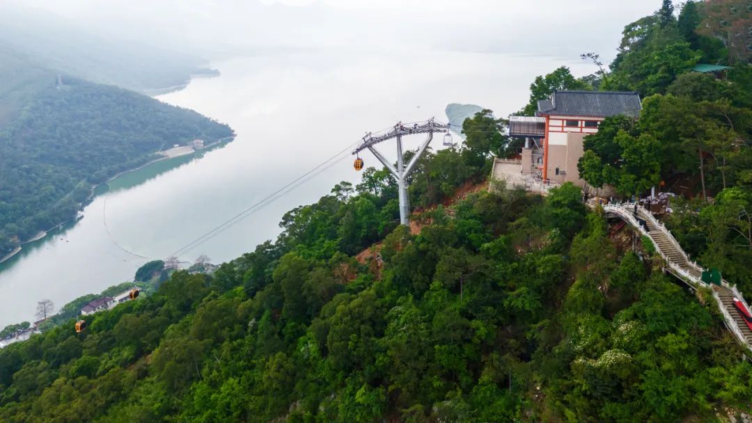 东升国际官网-钻营健全,你我一路成长