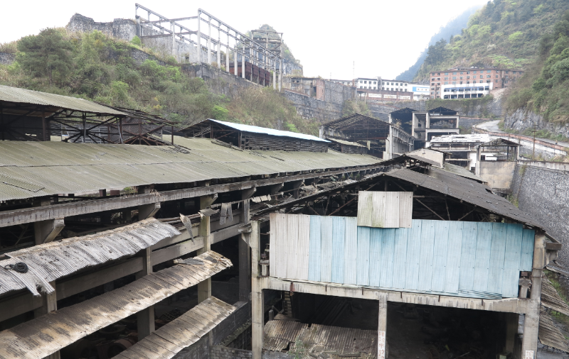 W020241119527176519122