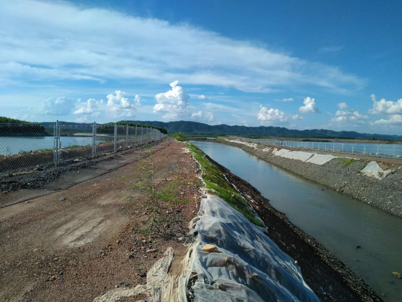 W020241119527186471017