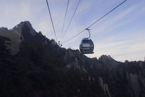 W020241119528335982439