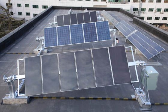 W020241119526080640261