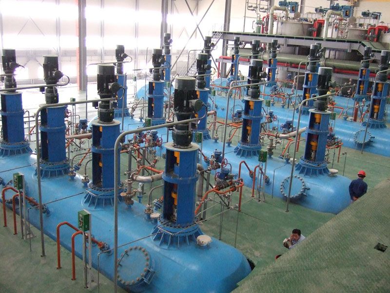 W020241119525555961756