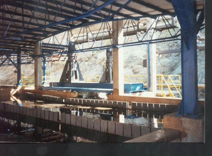 W020241119525560551065